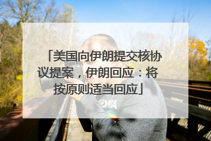 美国向伊朗提交核协议提案，伊朗回应：将按原则适当回应