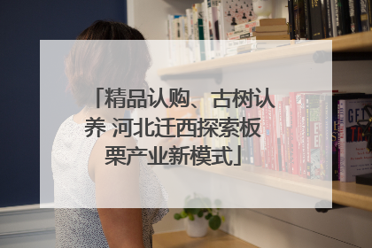 精品认购、古树认养 河北迁西探索板栗产业新模式