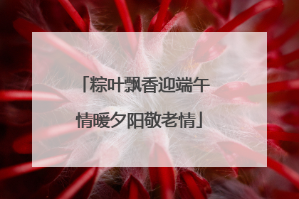 粽叶飘香迎端午 情暖夕阳敬老情