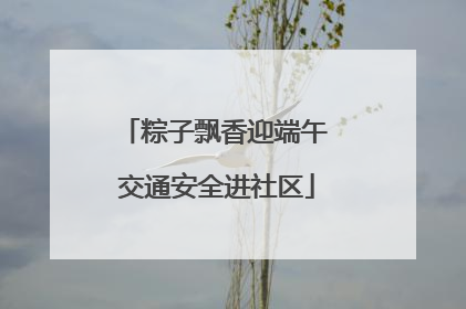 粽子飘香迎端午 交通安全进社区