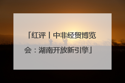 红评丨中非经贸博览会：湖南开放新引擎