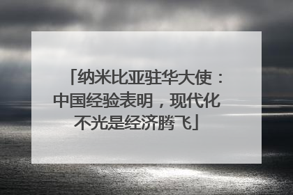 纳米比亚驻华大使：中国经验表明，现代化不光是经济腾飞