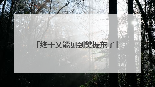 终于又能见到樊振东了