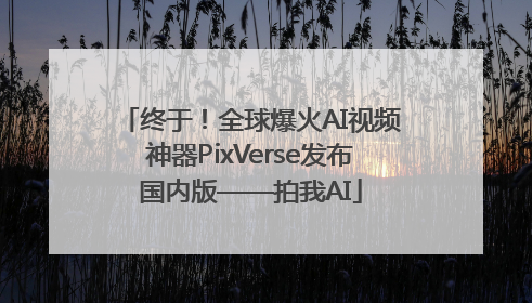 终于！全球爆火AI视频神器PixVerse发布国内版——拍我AI