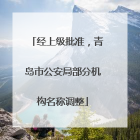 经上级批准，青岛市公安局部分机构名称调整
