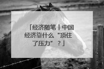 经济随笔丨中国经济靠什么“顶住了压力”？