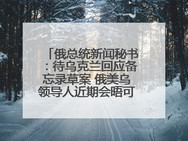 俄总统新闻秘书：待乌克兰回应备忘录草案 俄美乌领导人近期会晤可能性小
