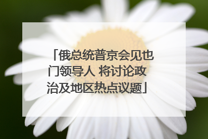 俄总统普京会见也门领导人 将讨论政治及地区热点议题