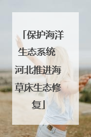 保护海洋生态系统 河北推进海草床生态修复