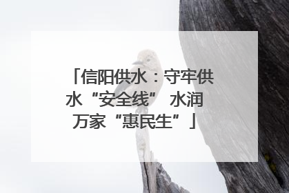 信阳供水：守牢供水“安全线” 水润万家“惠民生”