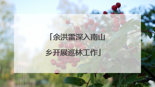 余洪雷深入南山乡开展巡林工作