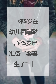 你5岁在幼儿园蹦跶，它5岁已准备“娶妻生子”