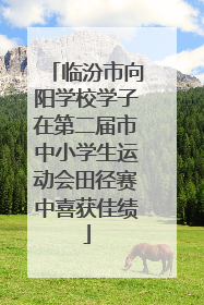 临汾市向阳学校学子在第二届市中小学生运动会田径赛中喜获佳绩