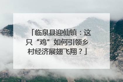 临泉县迎仙镇：这只“鸡”如何引领乡村经济展翅飞翔？