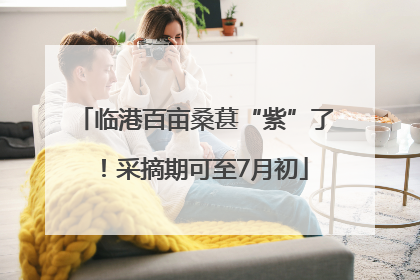 临港百亩桑葚“紫”了！采摘期可至7月初