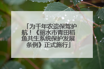 为千年农遗保驾护航！《丽水市青田稻鱼共生系统保护发展条例》正式施行