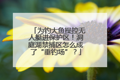为钓大鱼操控无人艇进保护区！洞庭湖禁捕区怎么成了“垂钓场”？