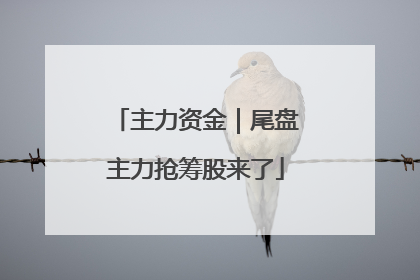主力资金｜尾盘主力抢筹股来了