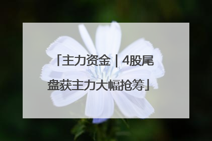 主力资金｜4股尾盘获主力大幅抢筹