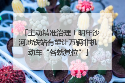 主动精准治理！明年沙河地铁站有望让万辆非机动车“各就其位”