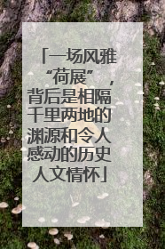 一场风雅“荷展”，背后是相隔千里两地的渊源和令人感动的历史人文情怀