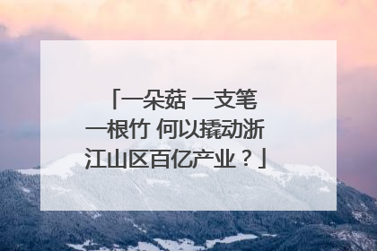 一朵菇 一支笔 一根竹 何以撬动浙江山区百亿产业？