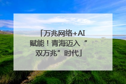 万兆网络+AI赋能！青海迈入“双万兆”时代