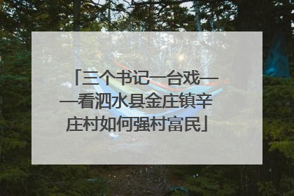 三个书记一台戏——看泗水县金庄镇辛庄村如何强村富民