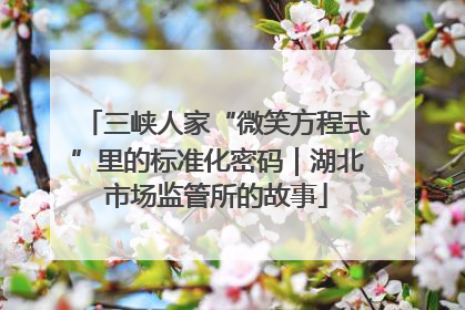 三峡人家“微笑方程式”里的标准化密码｜湖北市场监管所的故事