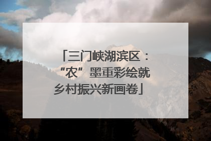 三门峡湖滨区：“农”墨重彩绘就乡村振兴新画卷
