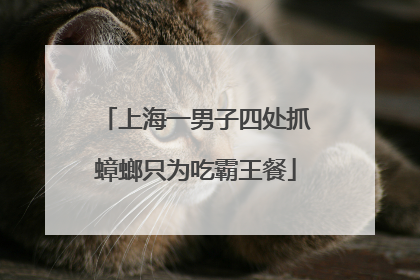 上海一男子四处抓蟑螂只为吃霸王餐