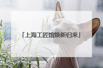 上海工匠馆焕新归来