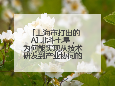 上海市打出的 AI 北斗七星，为何能实现从技术研发到产业协同的闭环生态