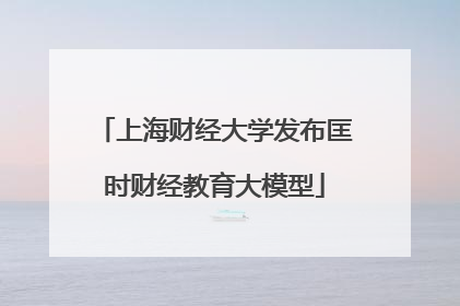 上海财经大学发布匡时财经教育大模型