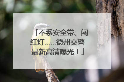 不系安全带、闯红灯……德州交警最新高清曝光！