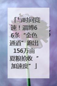与时间竞速！淄博66条“金色通道”跑出156万亩夏粮抢收“加速度”