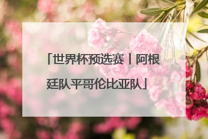 世界杯预选赛丨阿根廷队平哥伦比亚队