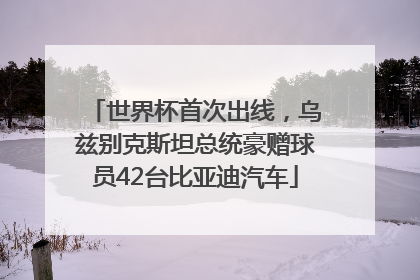 世界杯首次出线，乌兹别克斯坦总统豪赠球员42台比亚迪汽车