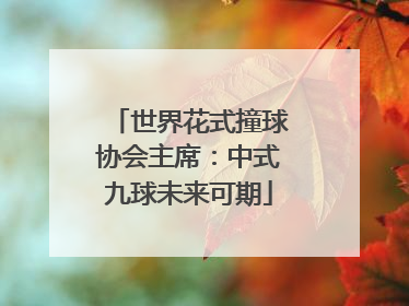 世界花式撞球协会主席：中式九球未来可期