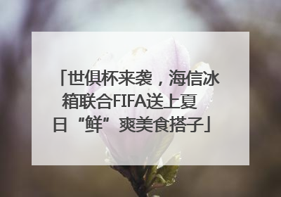 世俱杯来袭，海信冰箱联合FIFA送上夏日“鲜”爽美食搭子