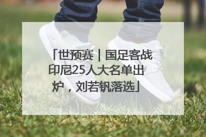 世预赛｜国足客战印尼25人大名单出炉，刘若钒落选