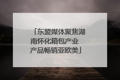 东盟媒体聚焦湖南怀化箱包产业 产品畅销亚欧美