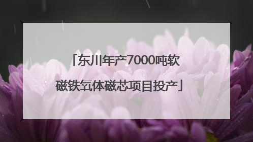 东川年产7000吨软磁铁氧体磁芯项目投产
