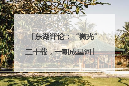 东湖评论：“微光”三十载，一朝成星河