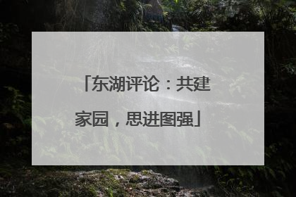 东湖评论：共建家园，思进图强