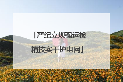 严纪立规强运检 精技实干护电网
