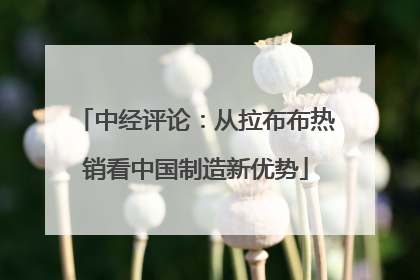 中经评论：从拉布布热销看中国制造新优势