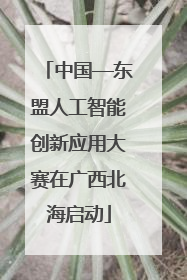 中国—东盟人工智能创新应用大赛在广西北海启动