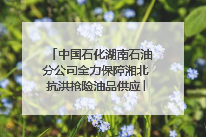 中国石化湖南石油分公司全力保障湘北抗洪抢险油品供应