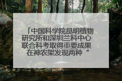 中国科学院昆明植物研究所和深圳兰科中心联合科考取得重要成果 在神农架发现两种“国保”级兰花